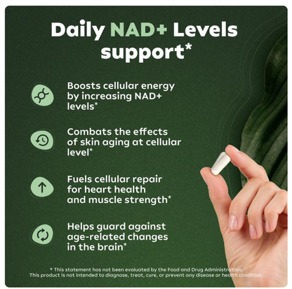Avanteur™ NAD+ Anti-Aging Capsules – 900mg Cellular Support Formula